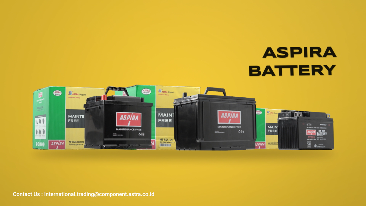 Aspira Automotive Battery